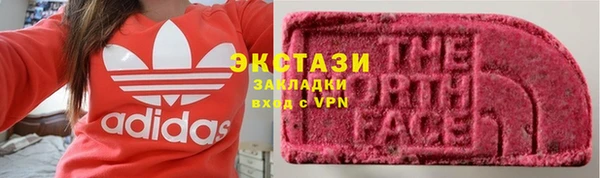 стафф Гусев