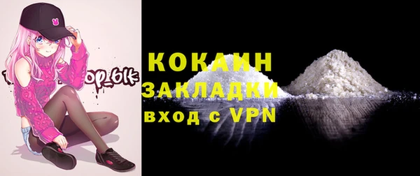 стафф Гусев