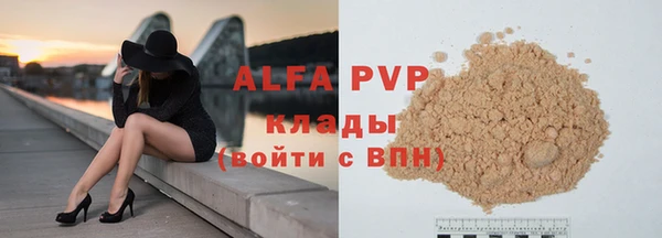 стафф Гусев