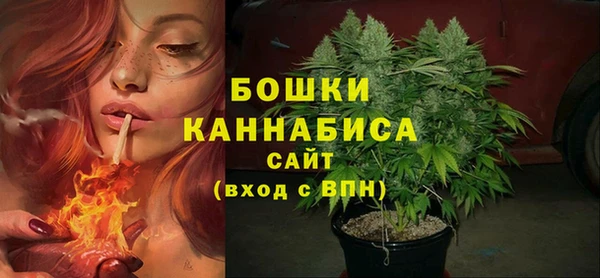 стафф Гусев