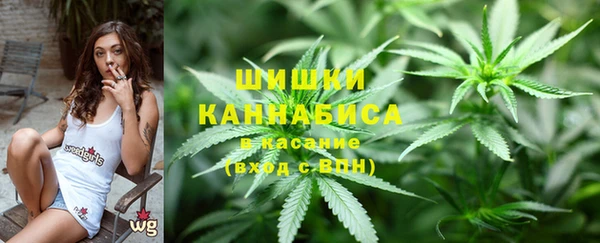 стафф Гусев